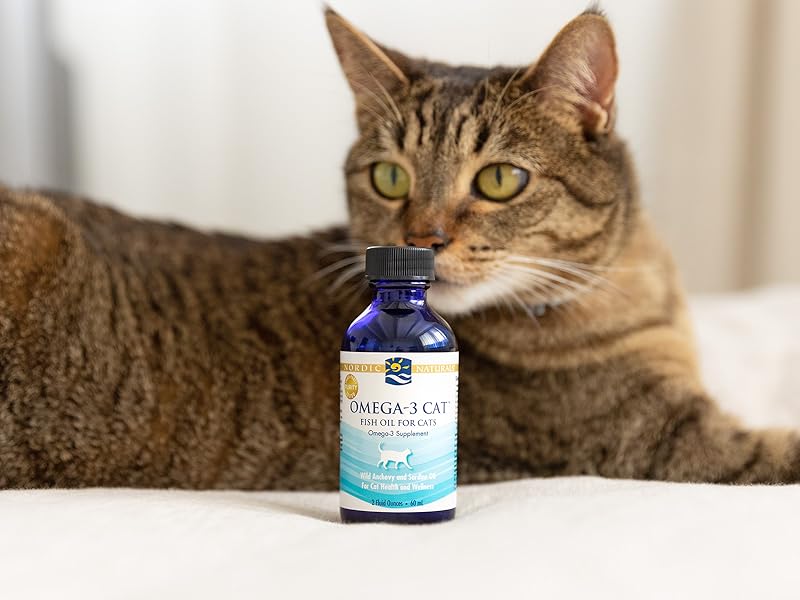 Cat with a bottle of Omega-3 fish oil for cats on a white surface